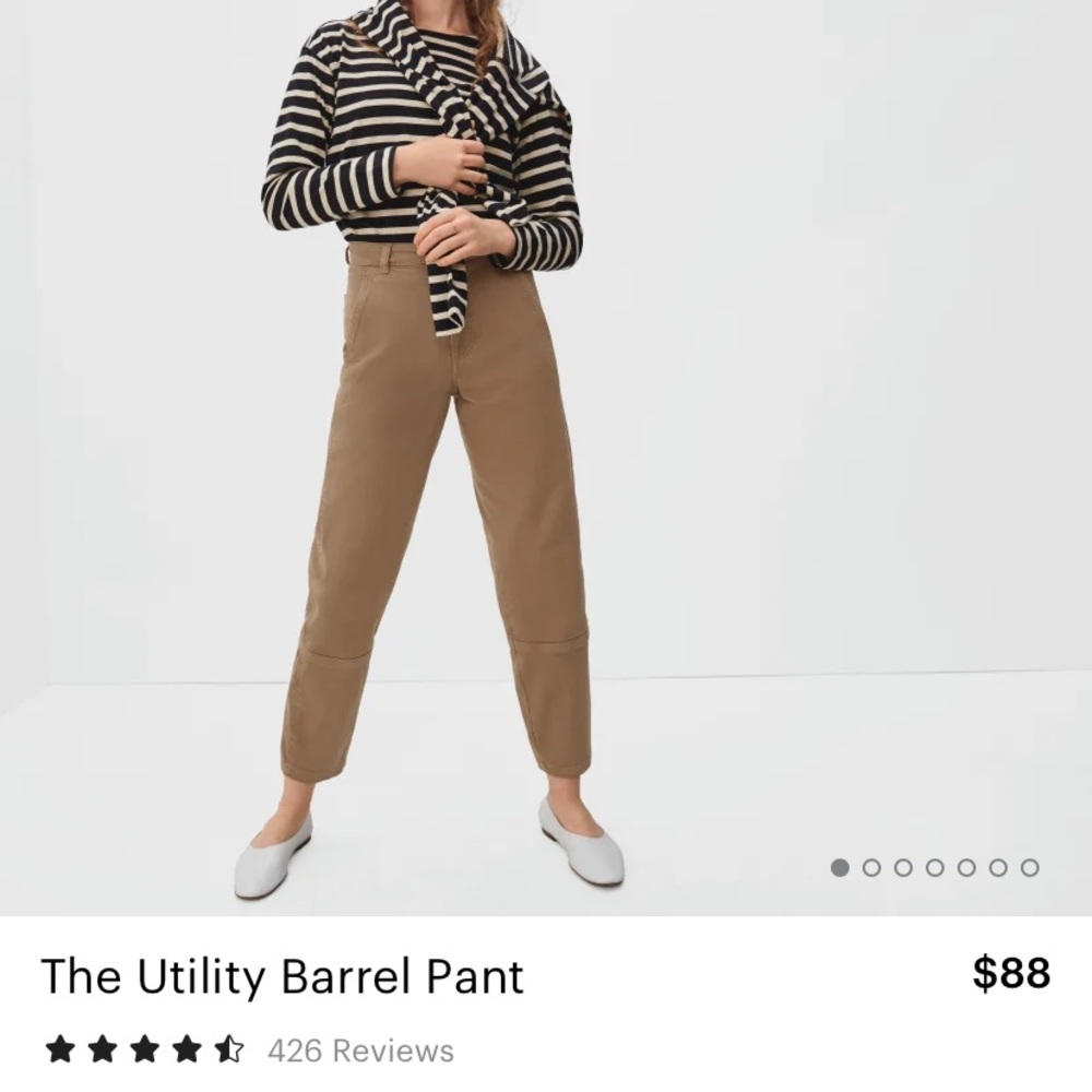 Everlane Barrel Utility Pant